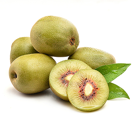 开云电竞官网产品中心八